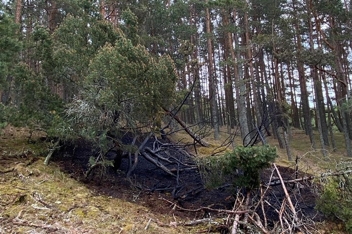 Juodkrantėje per dieną kilo 4 miško gaisrai – miškininkai įtarią padegimą
